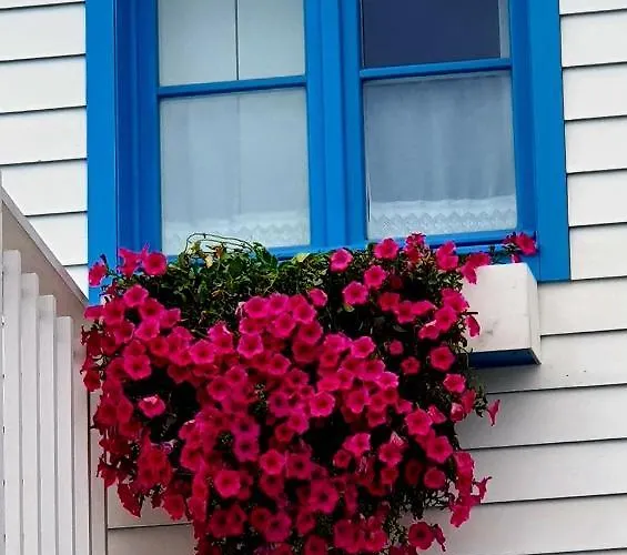 Cantinho Do Auka - Авейру